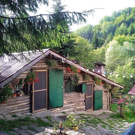 Zimska Idila Crni Vrh Exterior foto