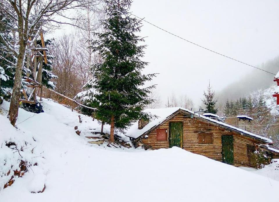 Zimska Idila Crni Vrh Exterior foto